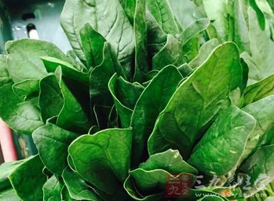 適量的菠菜