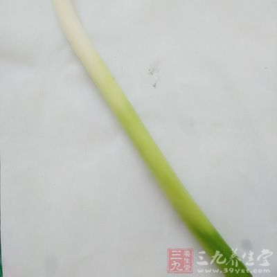 一根新鮮的大蔥 一根新鮮的大蔥