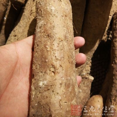 山藥還可以增強免疫力