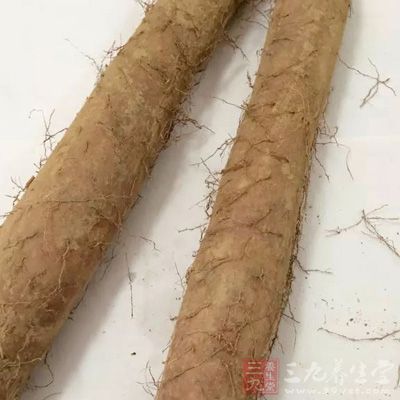 山藥也可以作為一道涼菜