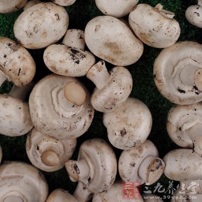 蘑菇的有效成分可增強T淋巴細胞功能