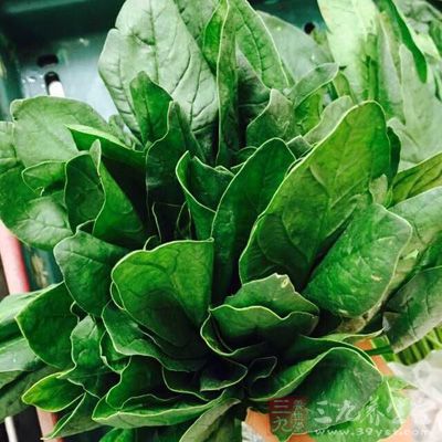 適量的菠菜 適量的菠菜