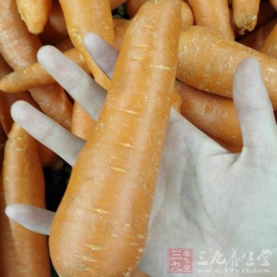 適量的胡蘿卜 適量的胡蘿卜