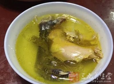 炖烏雞湯的做法很簡單，學一下就會了