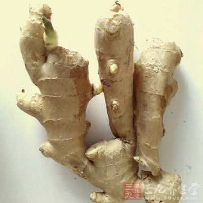 老姜1塊(約5g) 老姜1塊(約5g)