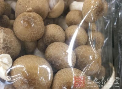 新鮮的口蘑洗淨之後切片