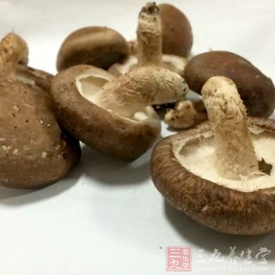 口蘑洗淨切厚片 口蘑洗淨切厚片