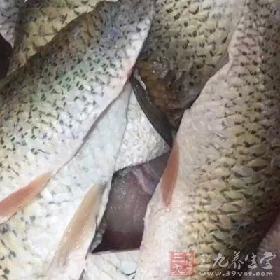魚清理干淨備用