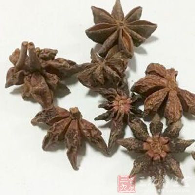 適量的八角