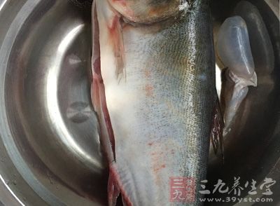 鲫魚含有豐富的蛋白質 鲫魚含有豐富的蛋白質