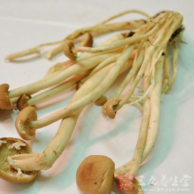 金針菇;泡椒水;鹽;香油;醋;白糖;蒜;雞精;耗油 金針菇;泡椒水;鹽;香油;醋;白糖;蒜;雞精;耗油