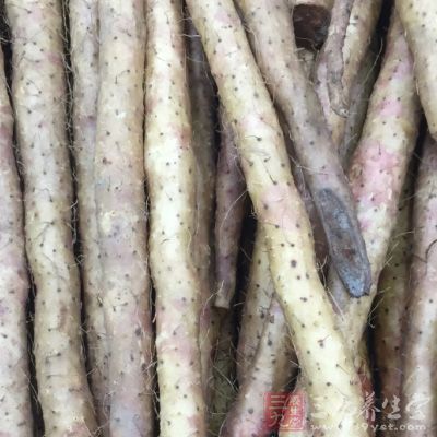 山藥具有鎮靜作用，可來抗肝昏迷