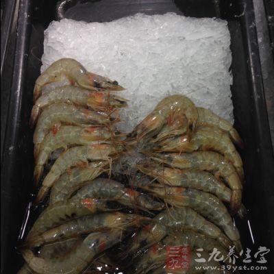 將蝦須和蝦槍剪掉