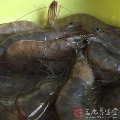 將蝦須和蝦槍剪掉