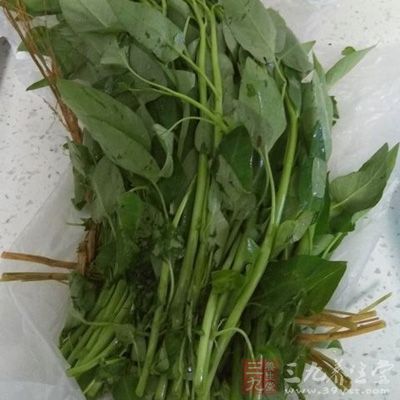空心菜中有豐富的維生素C和胡蘿卜素
