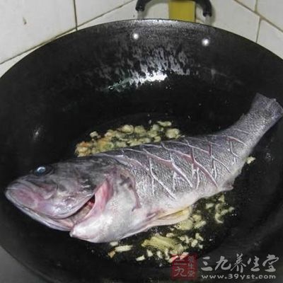 黑魚去鱗去內髒後要先小火煎一遍
