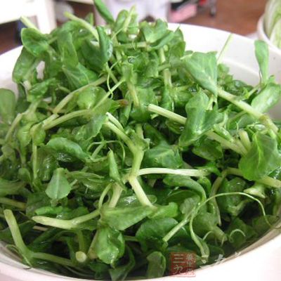 將准備好的新鮮豆苗洗淨
