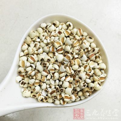 薏米性微寒，所以並不適合煮粥或者單吃