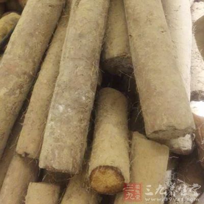 山藥是中醫健脾益氣的主要食療食物