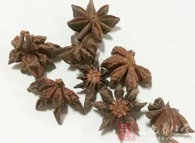 桂皮2個,八角4個 桂皮2個,八角4個