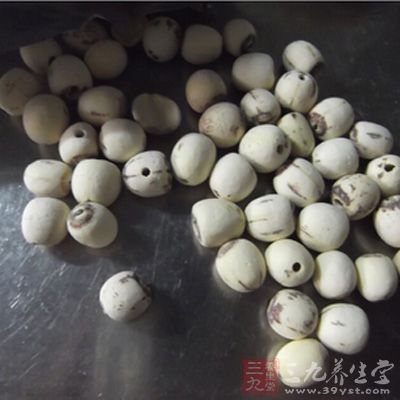 蓮子洗淨加3碗水煮，大火開後轉小火煮約20分鐘