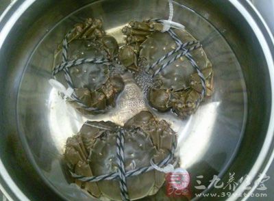 螃蟹買回來先在淡鹽水裡面養半天，吐淨泥沙