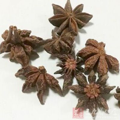 適量的八角 適量的八角