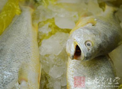 材料：黃魚頭骨架3副，黃魚1條，鲈魚1條，老姜70公克，蔥1根，水4500cc，沙拉油適量