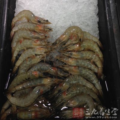 蒸蝦一定要選用新鮮，干淨的蝦