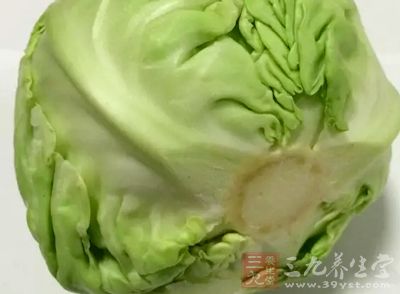 准備所需的圓白菜適量