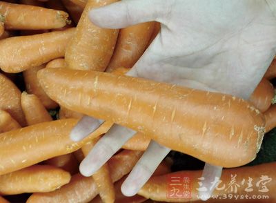 胡蘿卜1根 胡蘿卜1根