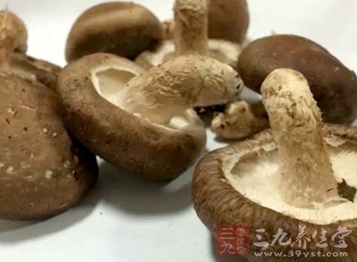 新鮮香菇5朵