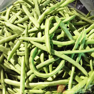 四季豆所需適量就行