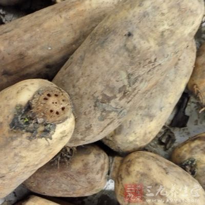 蓮藕削皮、切片