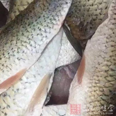 將草魚去掉鱗和內髒後洗淨，切成三段