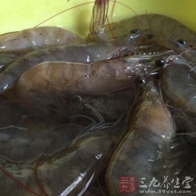 新鮮對蝦，剪去須、爪、嘴，入口方便