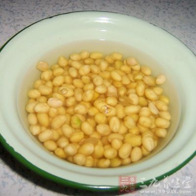 將黃豆浸泡6—16小時
