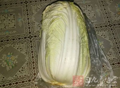 白菜選擇裡面嫩的菜芽 白菜選擇裡面嫩的菜芽