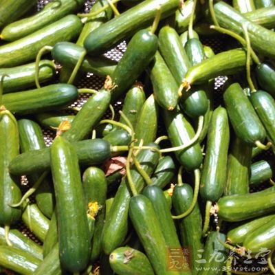 鮮嫩黃瓜兩至三根