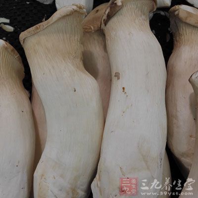 杏鮑菇切小滾刀
