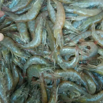 剪去蝦頭頂部的蝦槍，免得吃的時候扎嘴