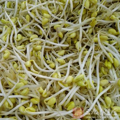 黃豆芽300公克,蒜末1大匙,芹菜1支,鹽1大匙,白砂糖1大匙,白醋1大匙,辣椒粉1/4小匙,辣椒醬1大匙,香油2大匙 黃豆芽300公克,蒜末1大匙,芹菜1支,鹽1大匙,白砂糖1大匙,白醋1大匙,辣椒粉1/4小匙,辣椒醬1大匙,香油2大匙