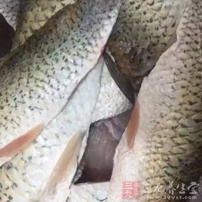 鯉魚清理干淨，魚的背部打斜一字花刀