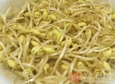 黃豆芽摘去根部,洗淨控干,寬粉泡水待用 黃豆芽摘去根部,洗淨控干,寬粉泡水待用