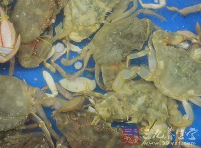 大閘蟹去掉蟹爪