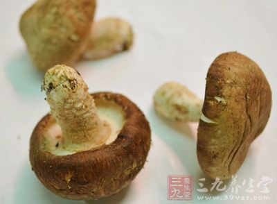香菇中還含有一種高純度、高分子結構的葡聚糖 香菇中還含有一種高純度、高分子結構的葡聚糖