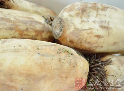 新鮮的蓮藕200克