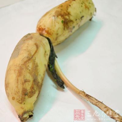 藕的功效與作用