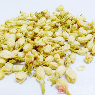 從古代開始,茉莉花就為亞洲等地,乃至地中海沿岸的人們所喜愛 從古代開始,茉莉花就為亞洲等地,乃至地中海沿岸的人們所喜愛