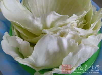 包菜洗淨後瀝干 包菜洗淨後瀝干